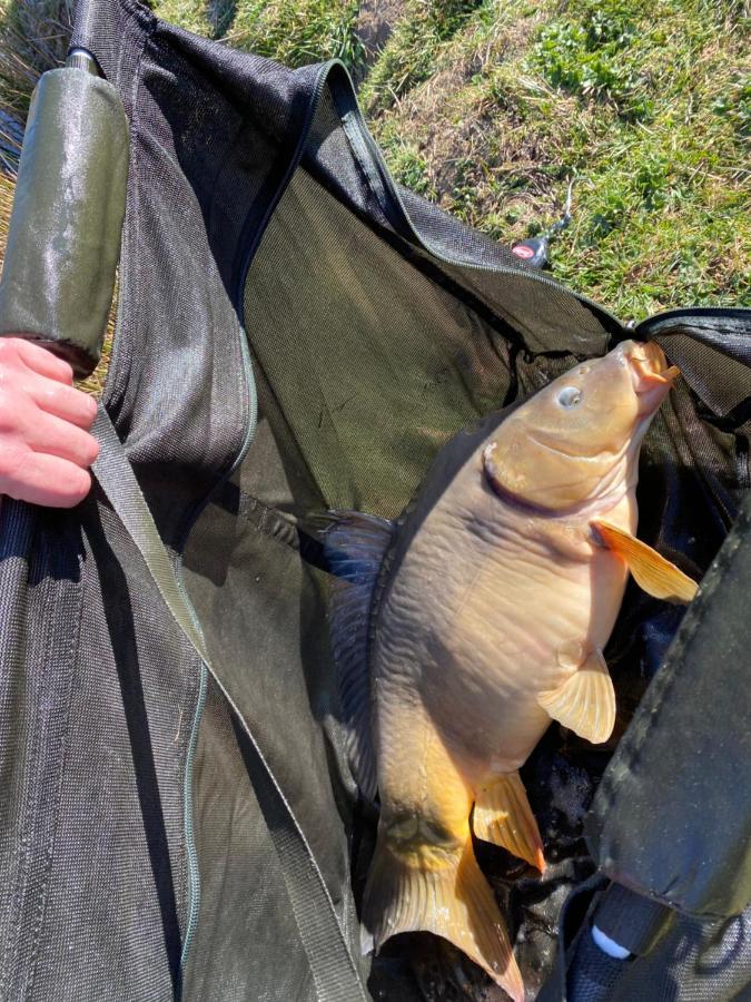 Fonclaire Holidays Carpers Rest Blond Zewnętrze zdjęcie